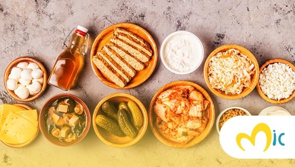 beneficios alimentos fermentados